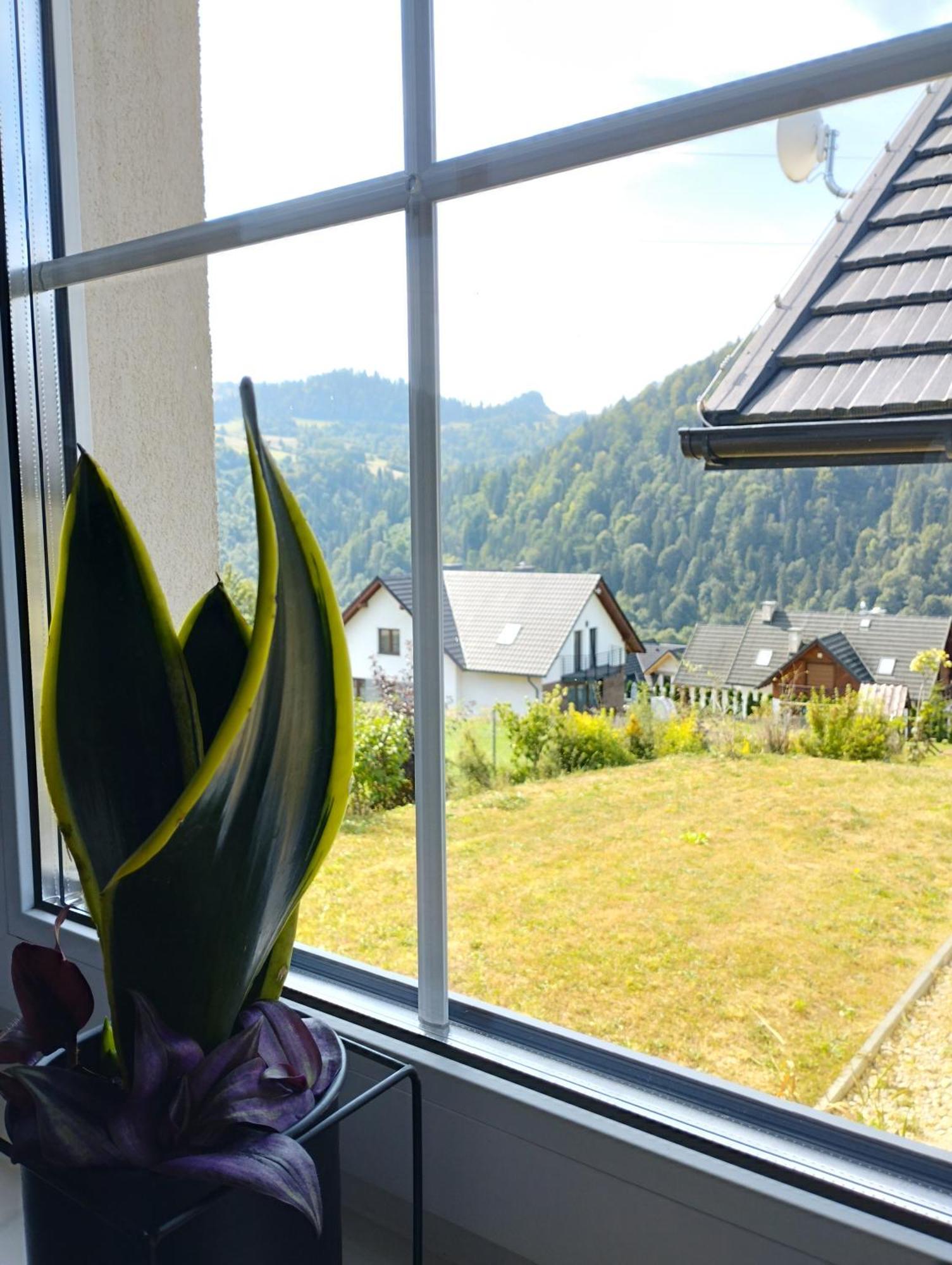 Cisza I Spokoj Szczawnica Extérieur photo